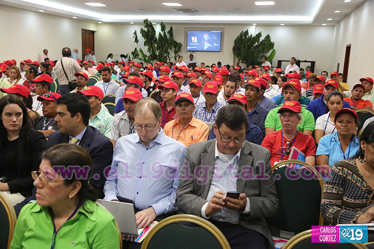 Nicaragua desarrolla Primer Congreso Internacional sobre Producción Sostenible de Cacao Fino